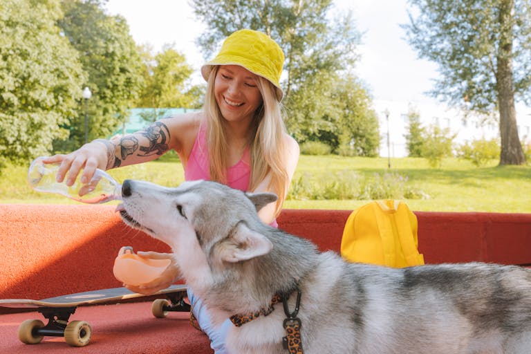 Smiling woman pours water for her husky while enjoying a sunny day outdoors.